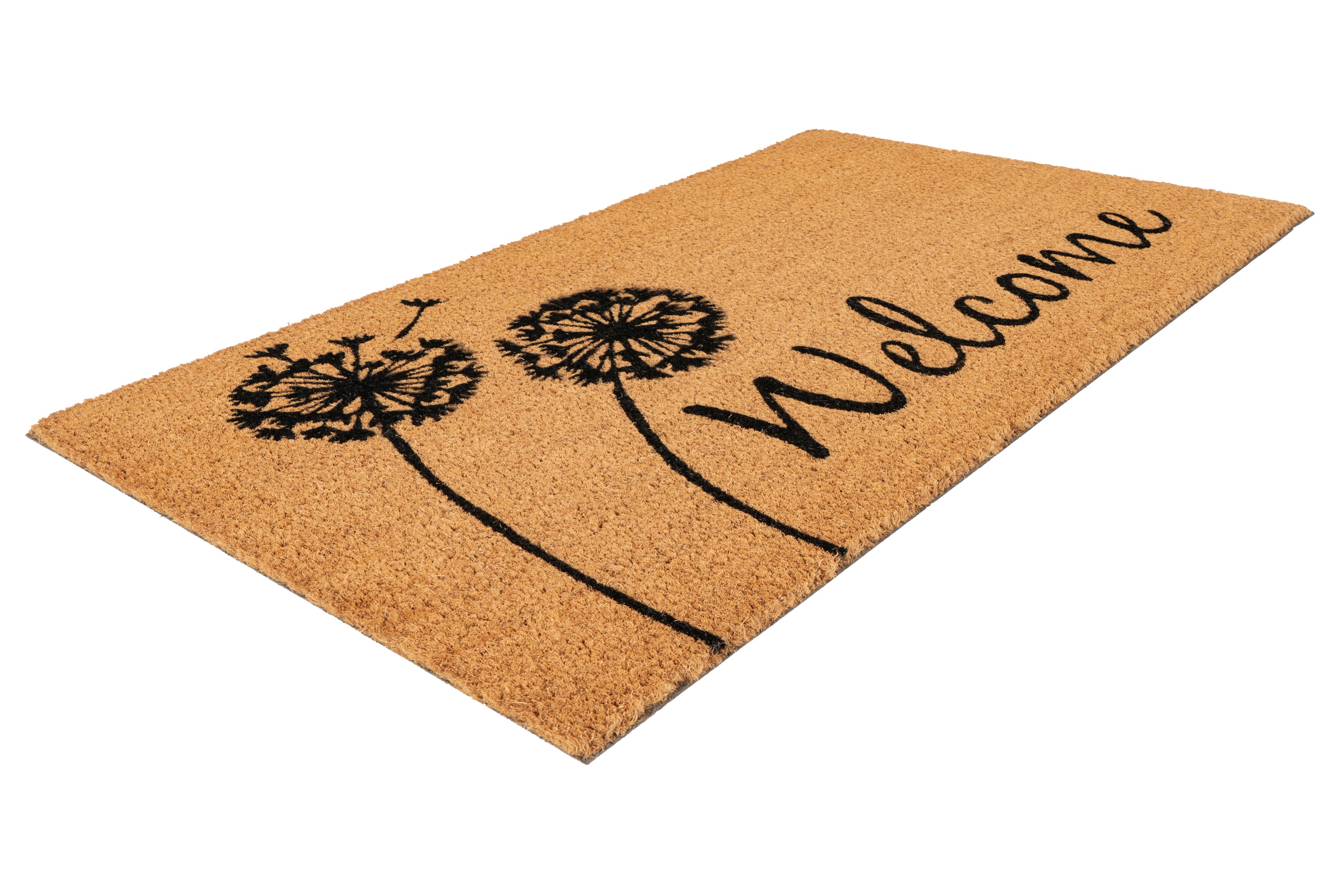 Fußmatte Fußmatte Natural Guard 225 Hellbraun 45 x 75 cm