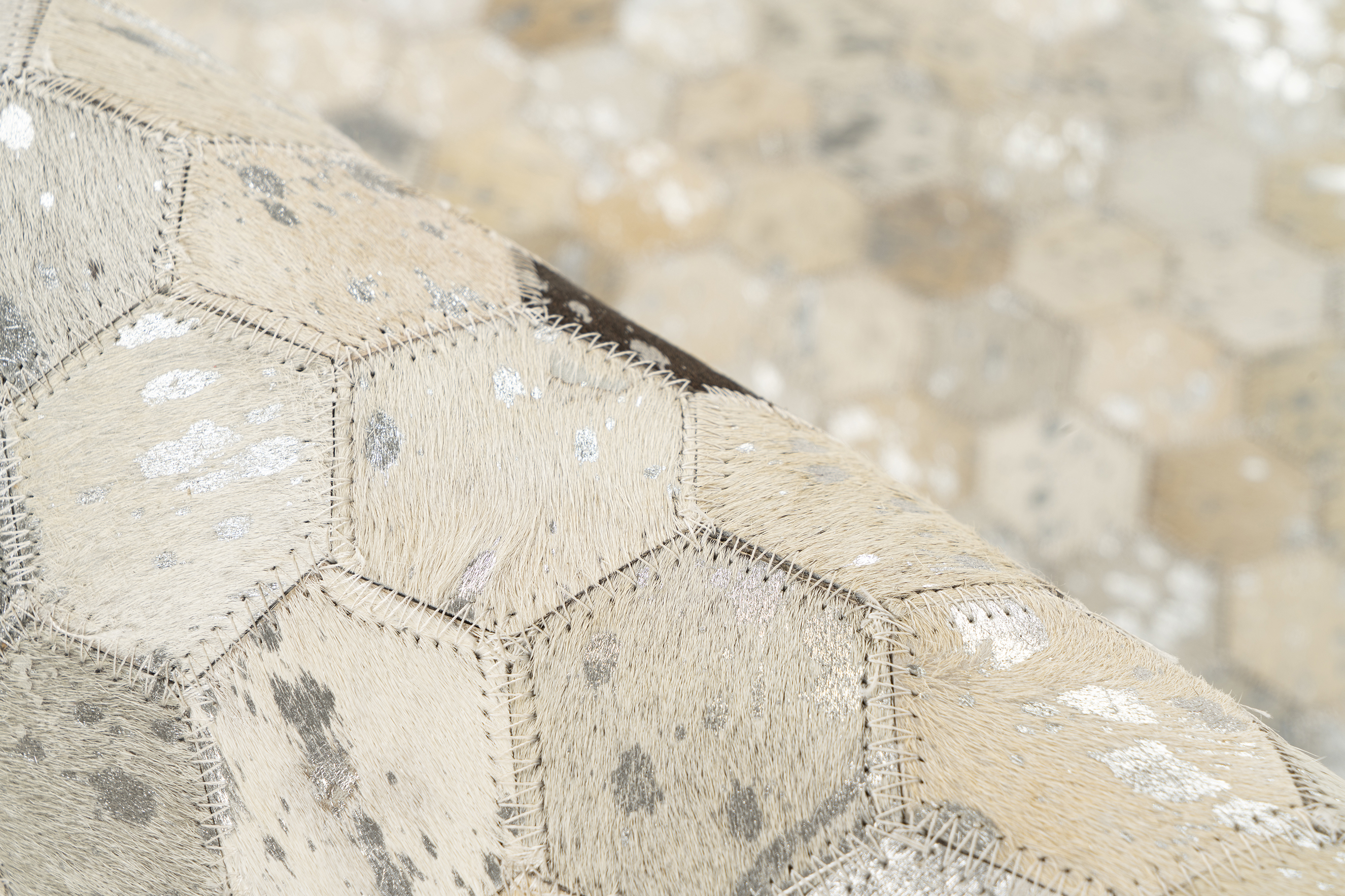 Teppich Lavin 1025 Silber / Grau 120 x 170 cm