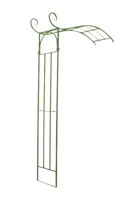 Rosenbogen Jasmin