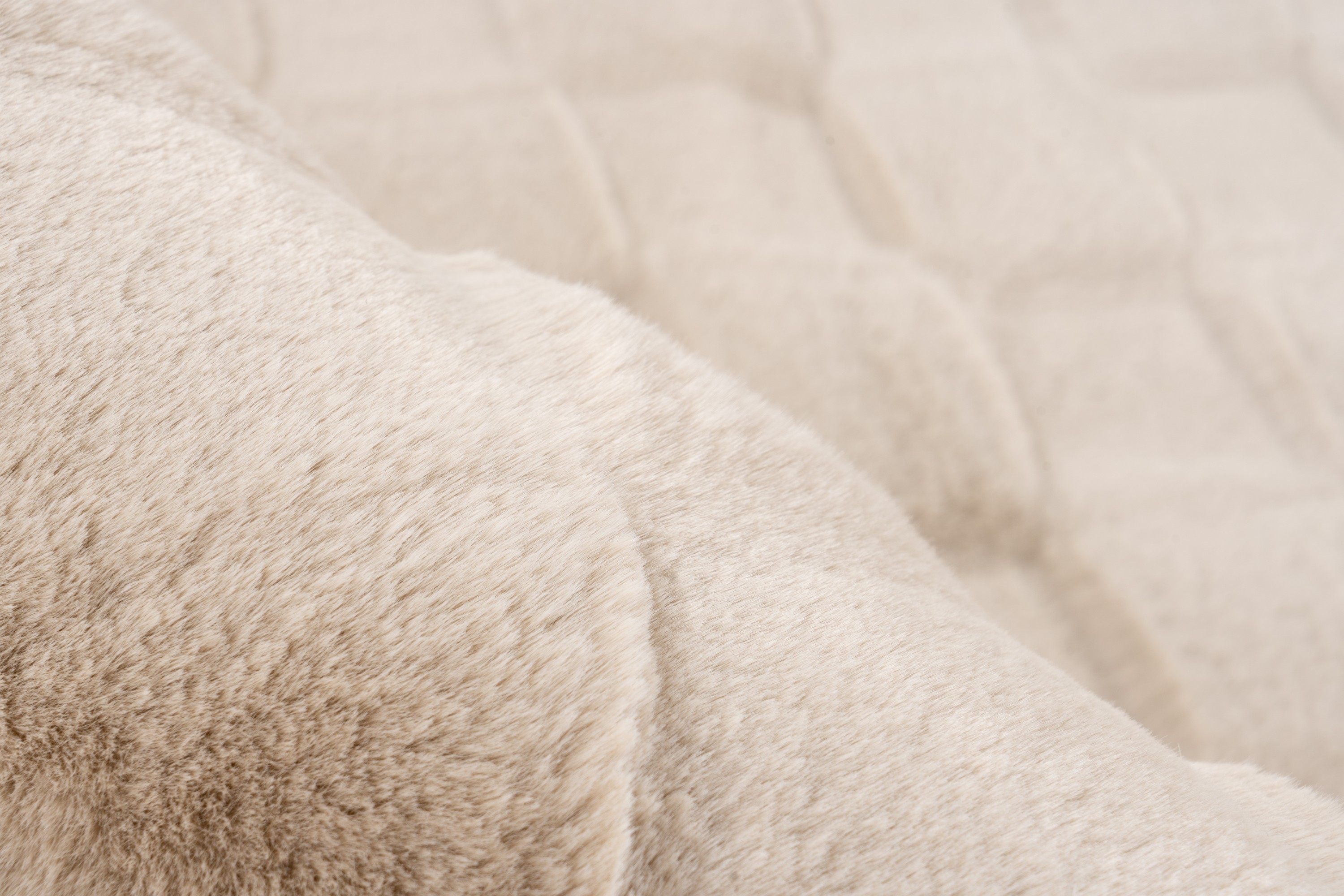 Teppich Botany 625 Beige 80 x 150 cm