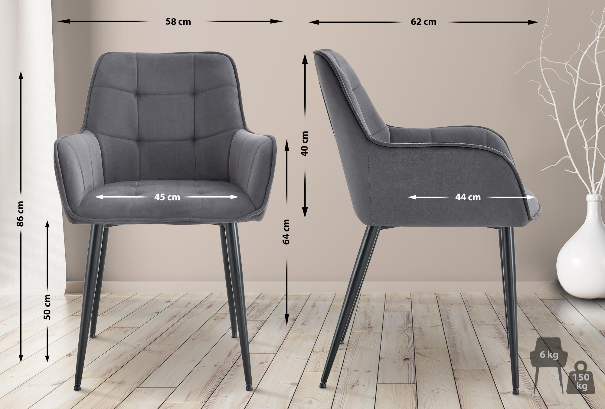 2er Set Esszimmerstuhl Ferndale Samt