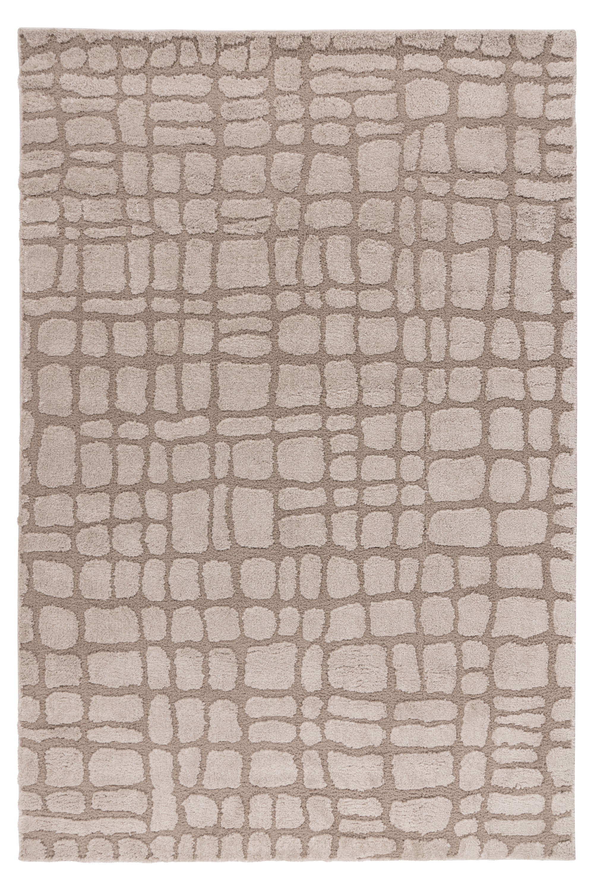 Teppich Angel 125 Beige 200 x 290 cm