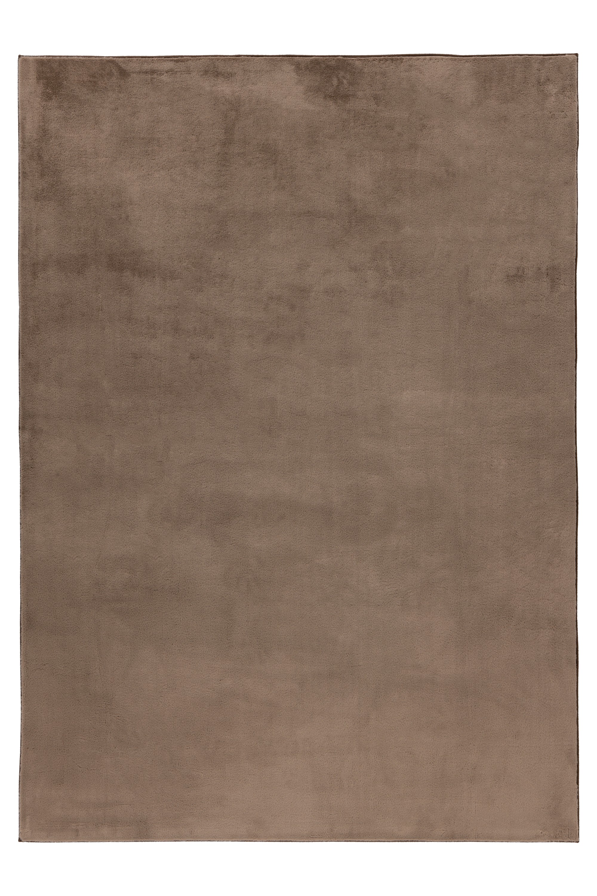 Teppich Surfacer 225 Taupe 200 x 290 cm