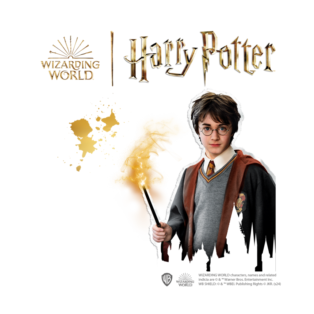 SES Bastel- & Kreativspielzeug SES - Harry Potter - Steine bemalen