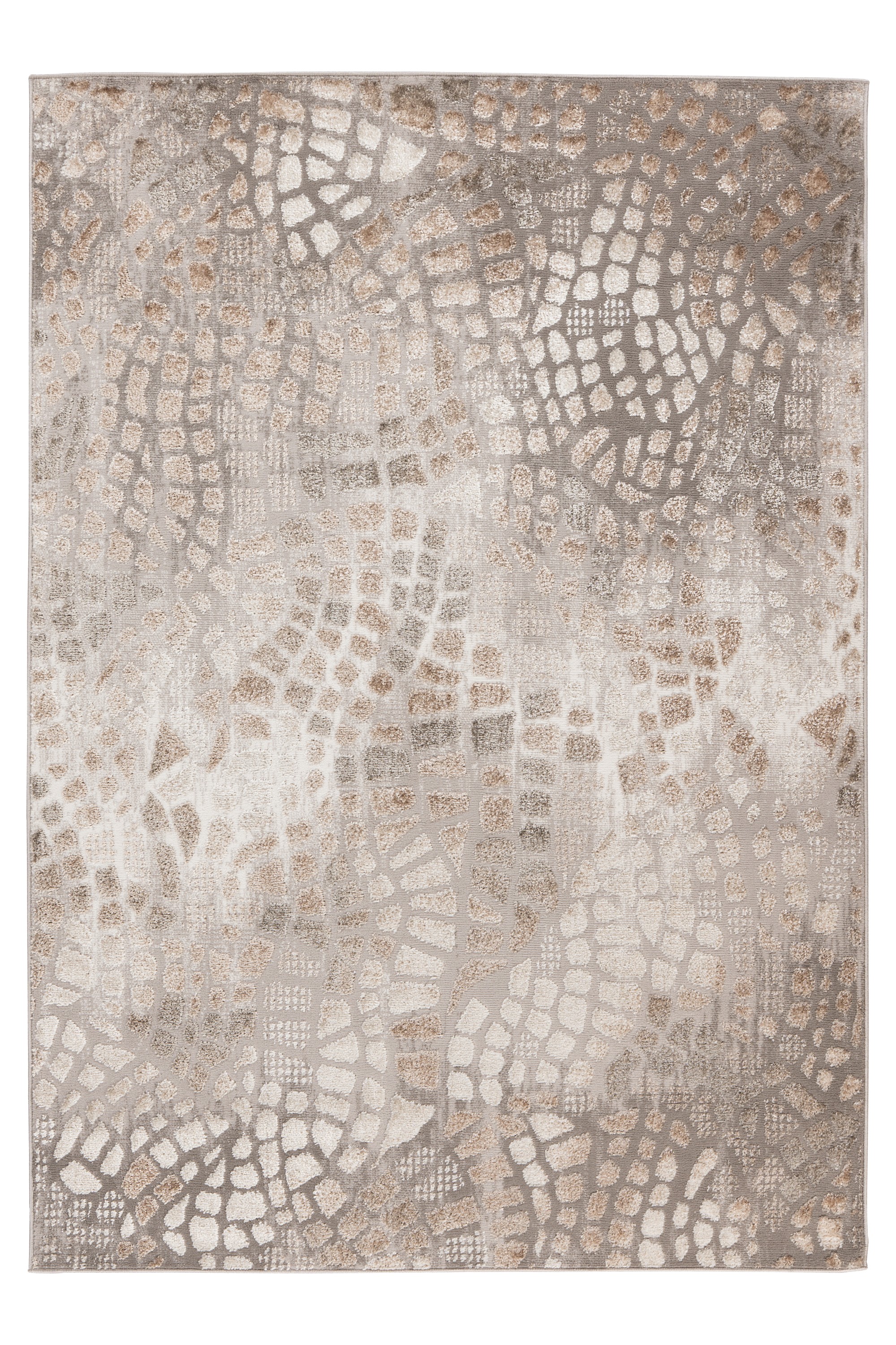 Teppich Catcher 225 Silber / Beige 120 x 170 cm