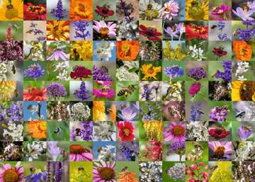 Ravensburger Puzzles 99 Bienen - Puzzle 1000 Teile