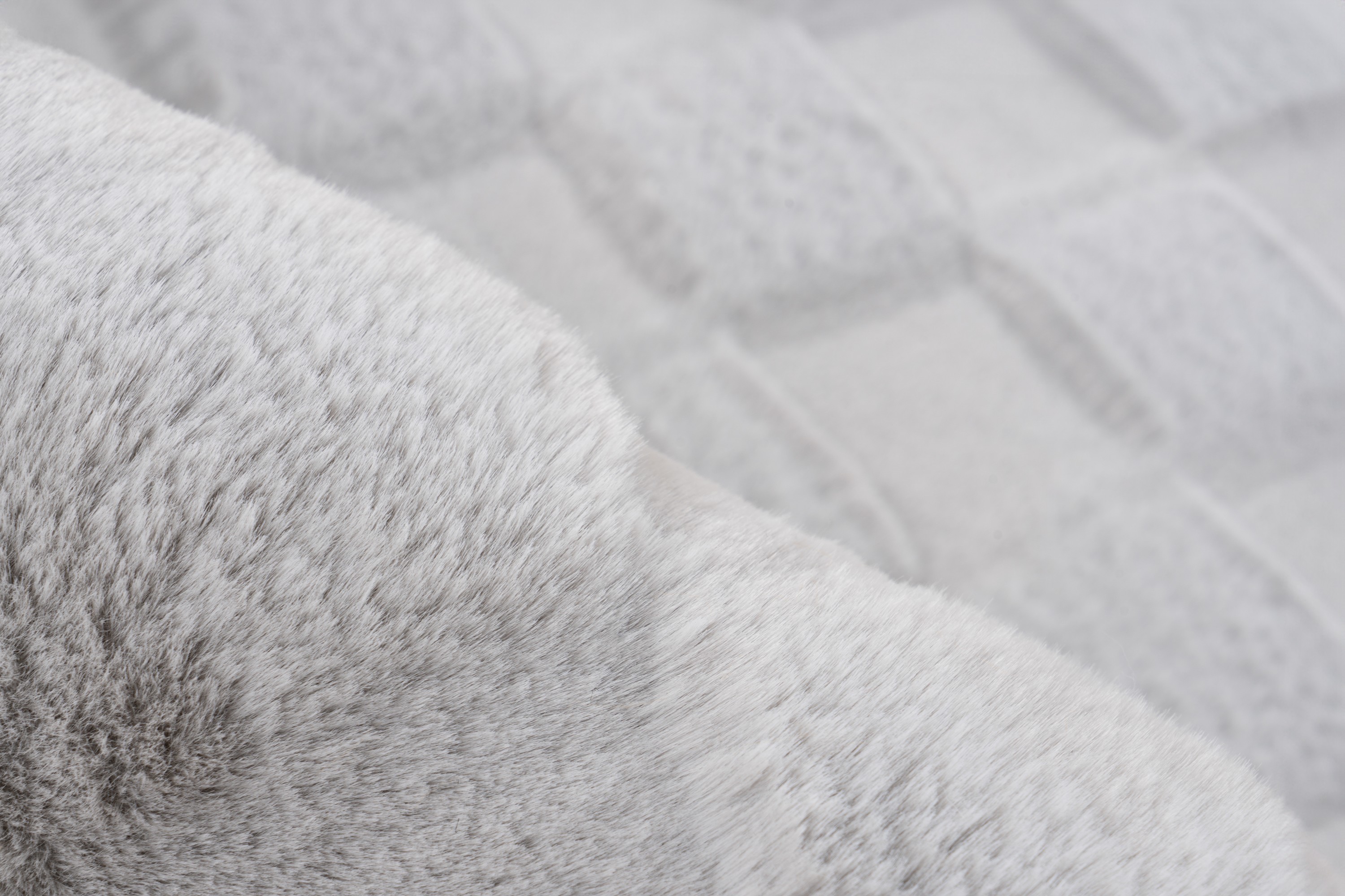 Teppich Botany 625 Silber 80 x 150 cm