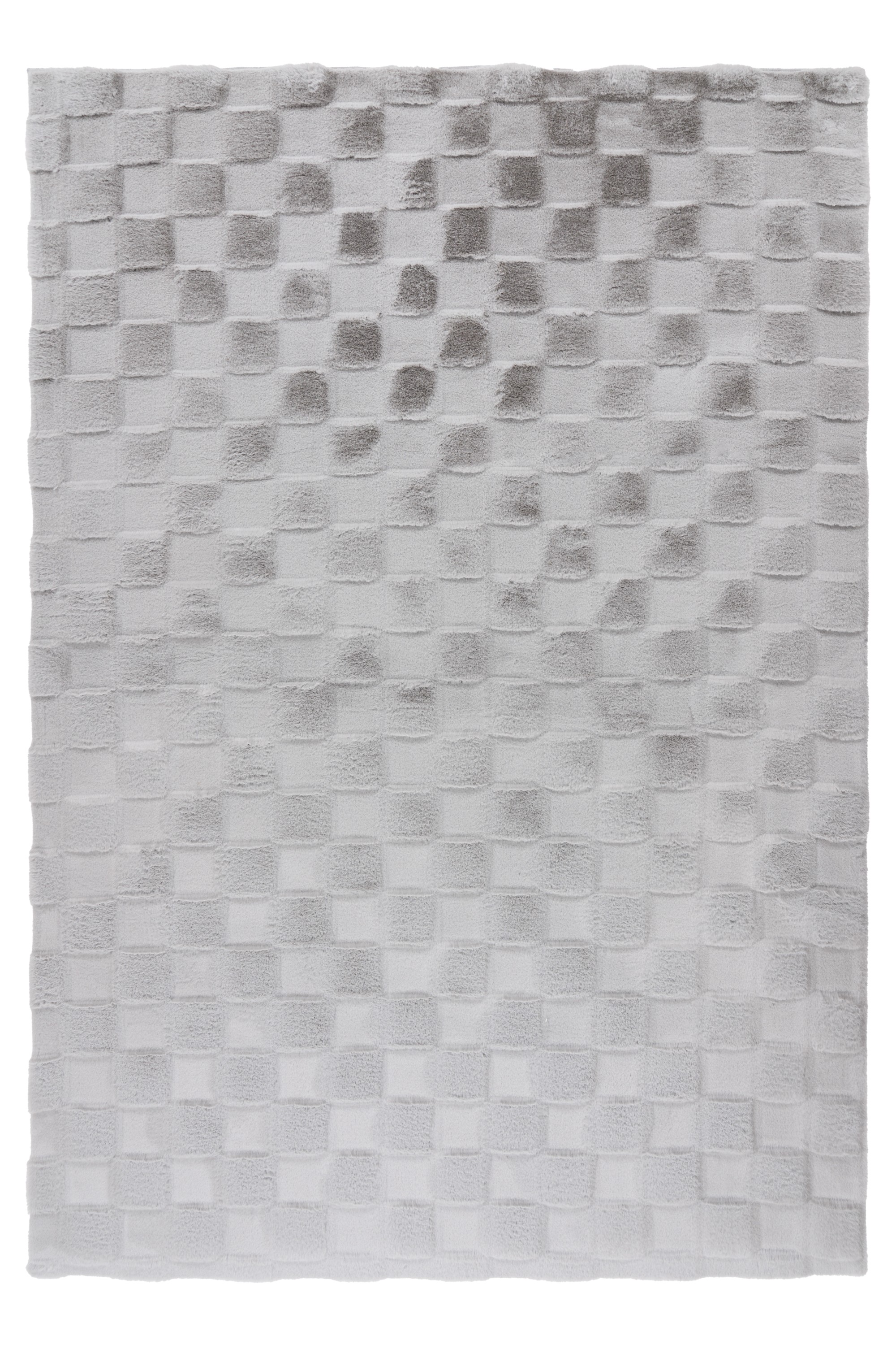 Teppich Botany 625 Silber 80 x 150 cm
