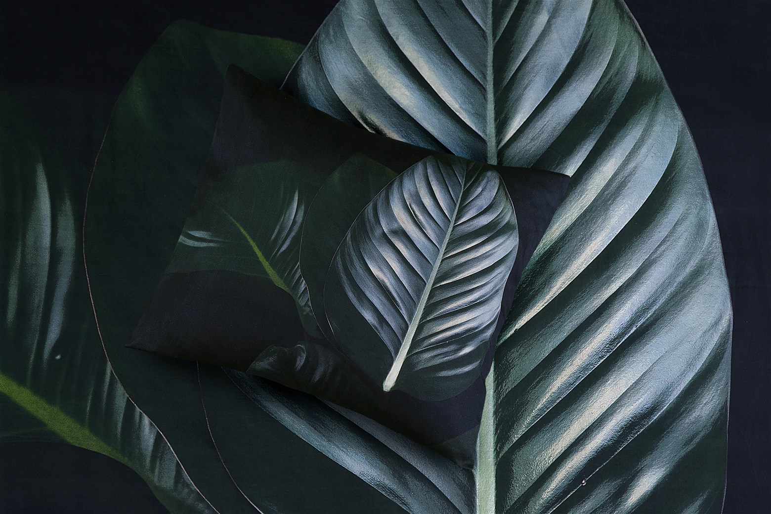 Bettwäsche Bettwäsche Tropical 125-DE Schwarz / Grün 135cm x 200cm / 80cm x 80cm